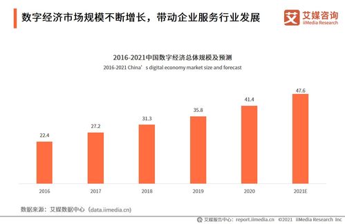 2021上半年中國財稅企業服務專題研究報告 信息技術咨詢服務透視