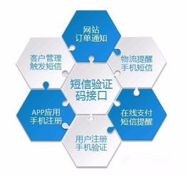 為什么需要這么多的驗證碼？——數(shù)字文化創(chuàng)意內(nèi)容應用服務(wù)的視角